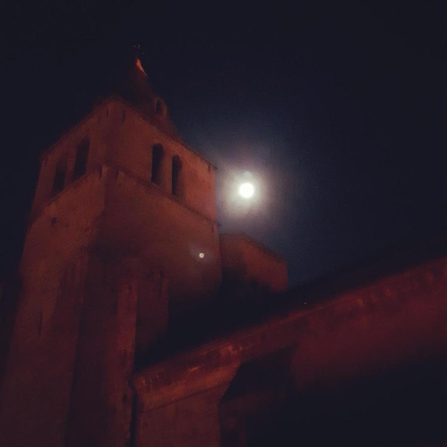 Les Mirabelles Chambres D'Hotes Sisteron Buitenkant foto