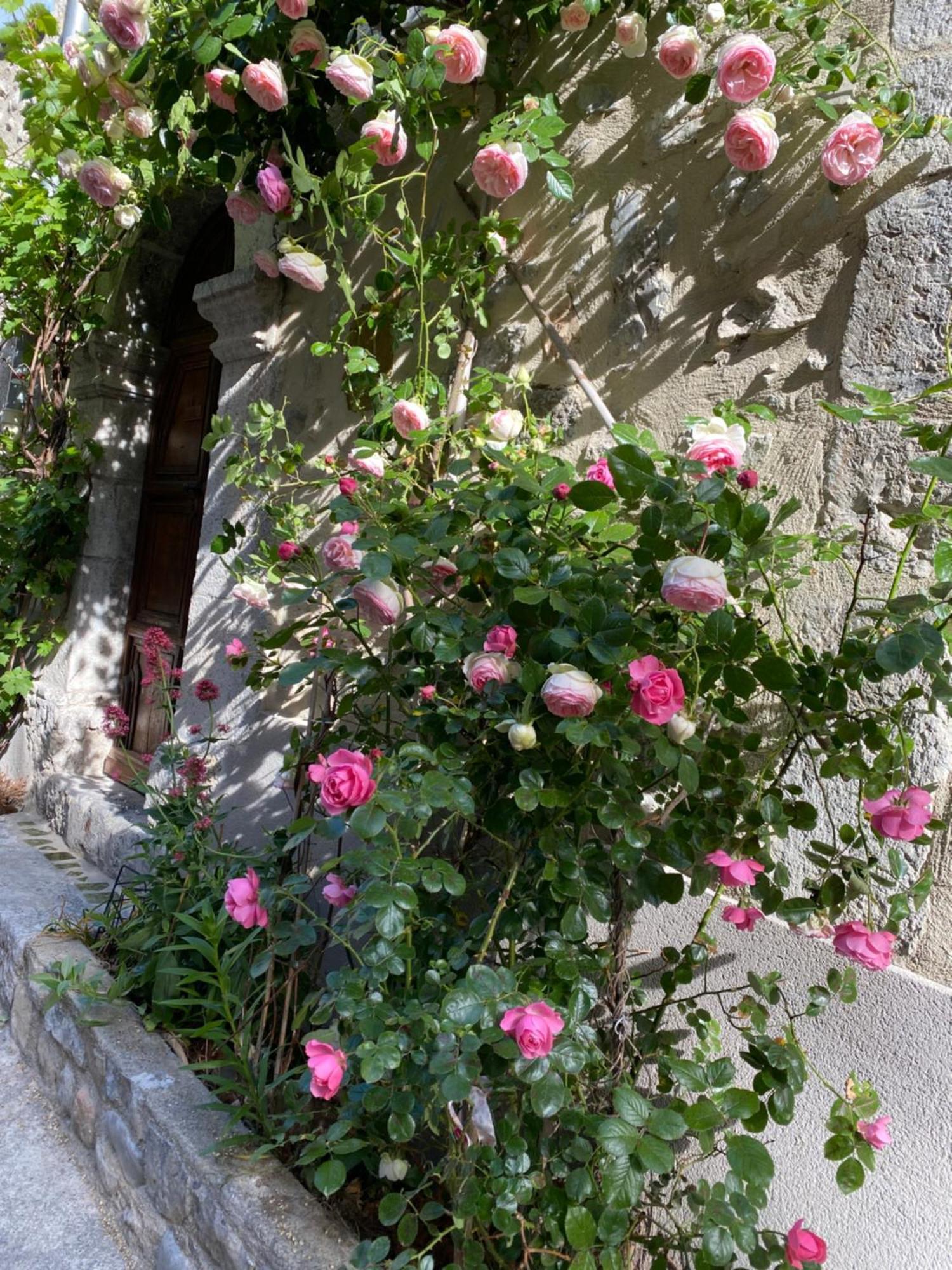 Les Mirabelles Chambres D'Hotes Sisteron Buitenkant foto
